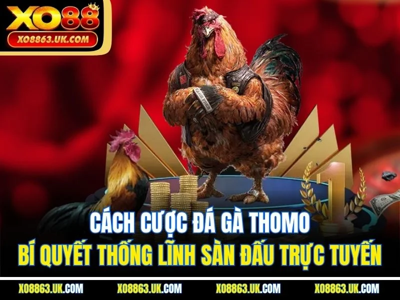 Cách Cược Đá Gà Thomo Bí Quyết Thống Lĩnh Sàn Đấu Trực Tuyến