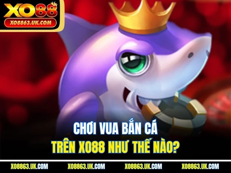 Chơi vua bắn cá trên XO88 như thế nào?