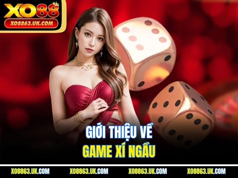 Giới thiệu về game xí ngầu