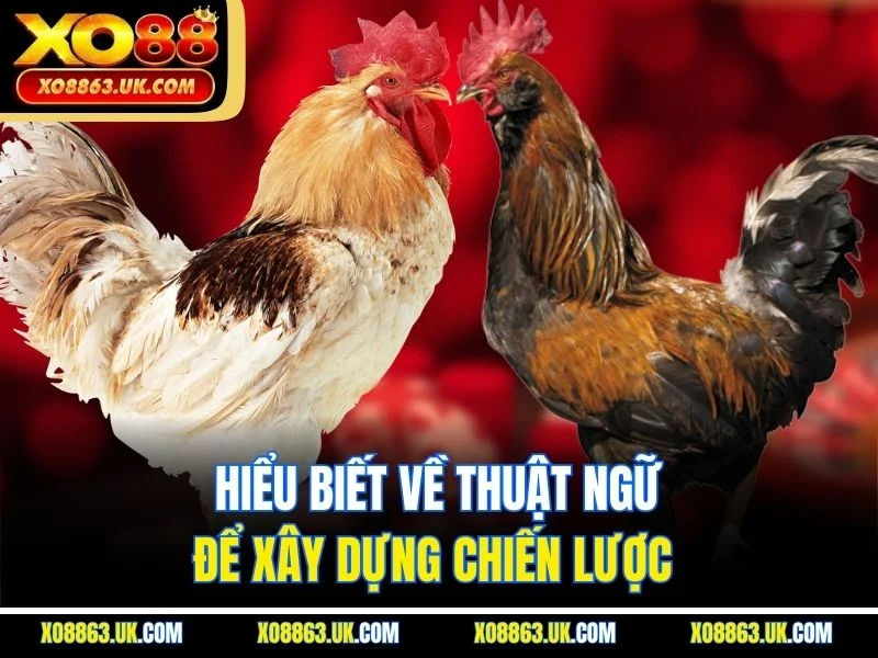 Hiểu biết về thuật ngữ để xây dựng chiến lược