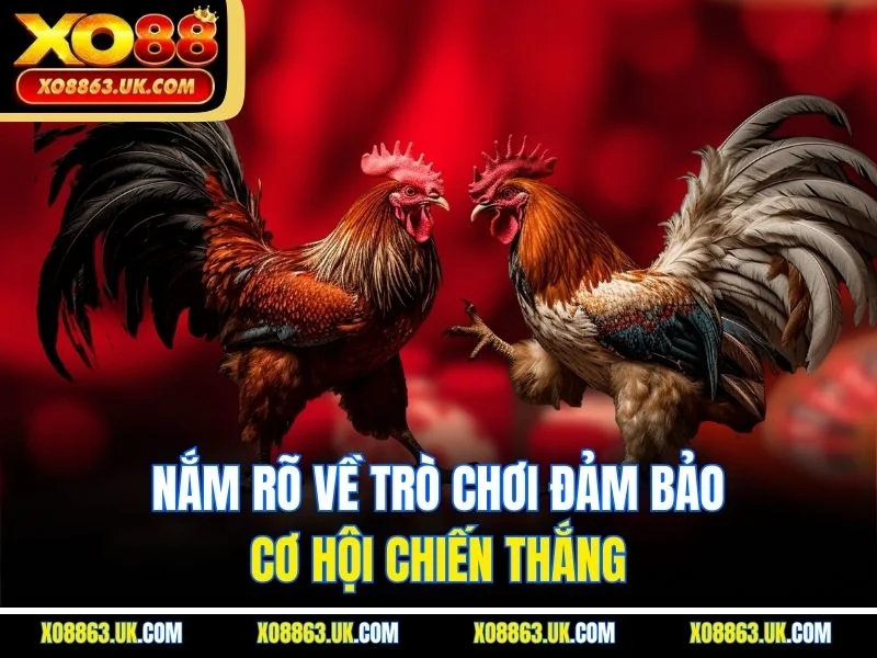 Nắm rõ về trò chơi đảm bảo cơ hội chiến thắng